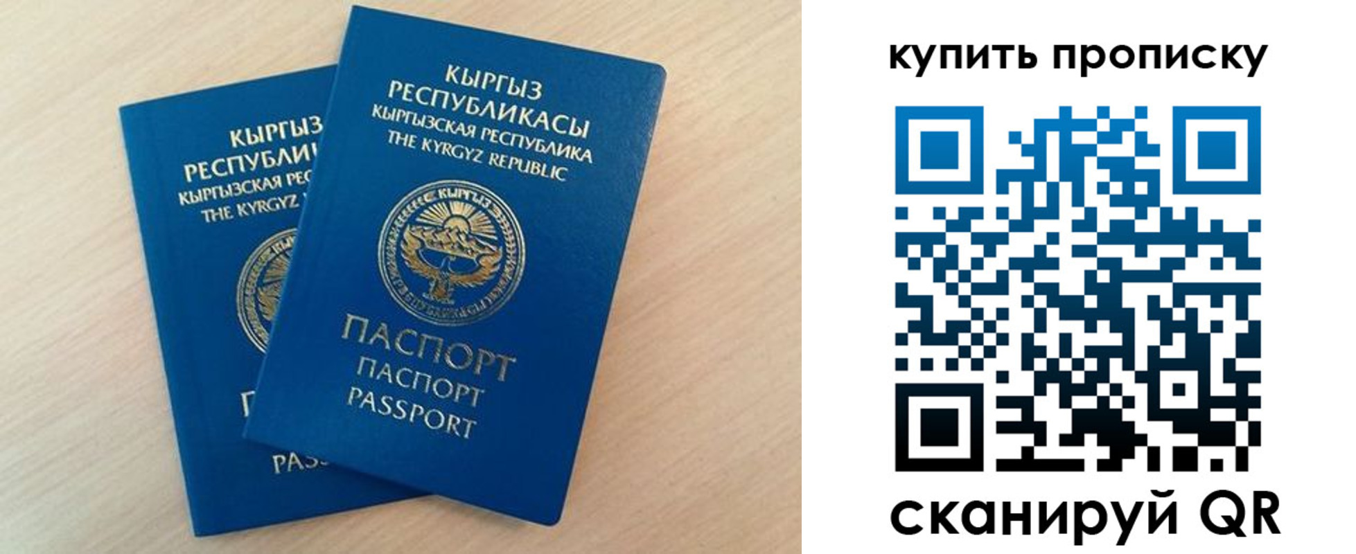 регистрация для школы в Камчатском крае
